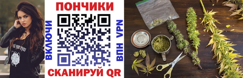Купить  Магас  Марихуана VHQ 